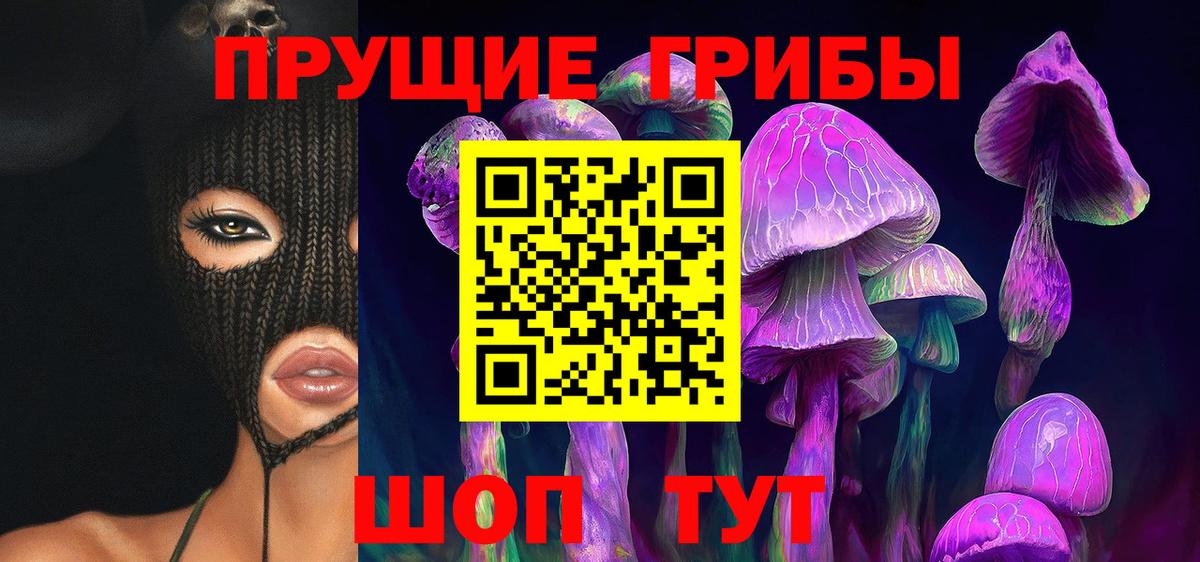 Галлюциногенные грибы Psilocybine cubensis Салехард